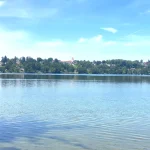 Blick über einen klaren See auf ein bewaldetes Ufer mit Häusern im 5-Seenland