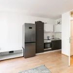 Wohnbereich mit integrierter Küchenzeile und grauer Kühl-Gefrier-Kombination in einer Immobilie